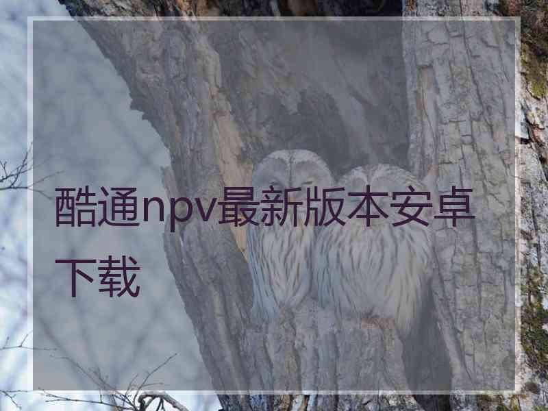 酷通npv最新版本安卓下载