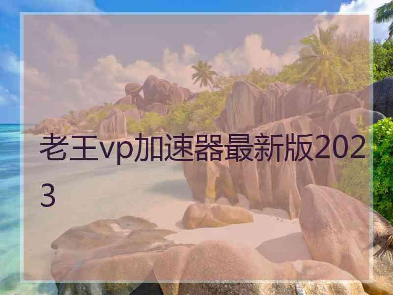 老王vp加速器最新版2023