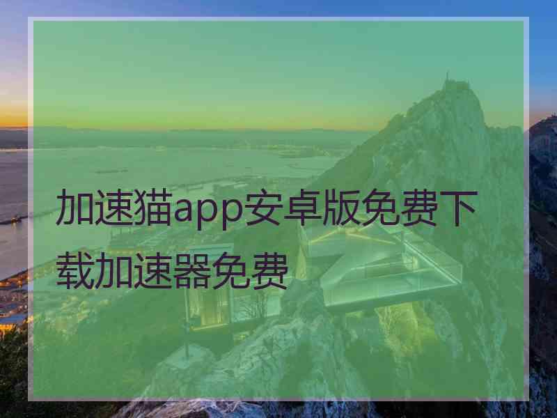 加速猫app安卓版免费下载加速器免费