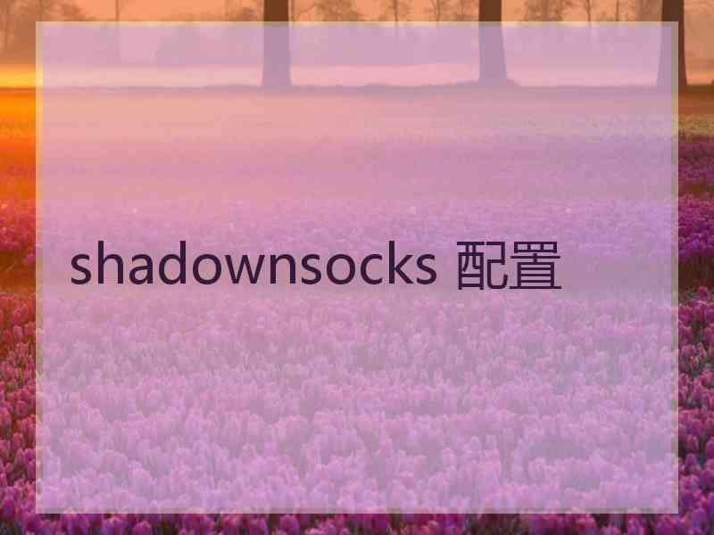 shadownsocks 配置