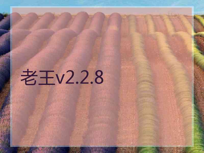 老王v2.2.8