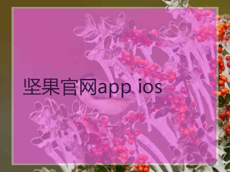 坚果官网app ios