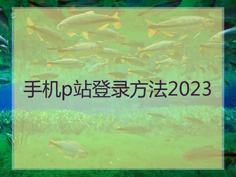 手机p站登录方法2023