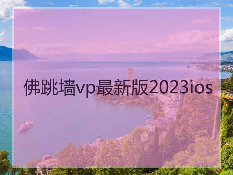 佛跳墙vp最新版2023ios