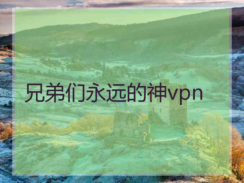 兄弟们永远的神vpn