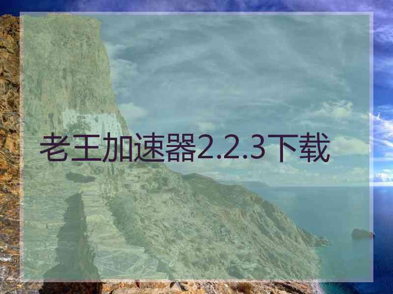 老王加速器2.2.3下载