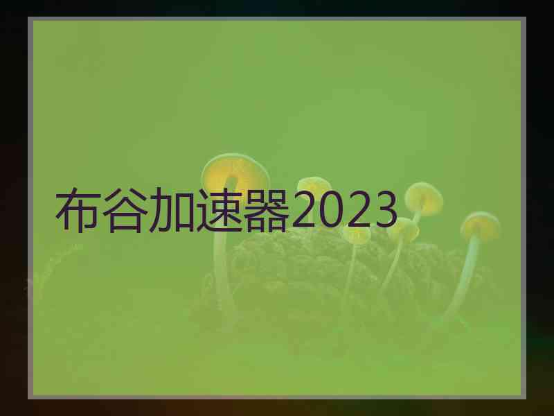 布谷加速器2023