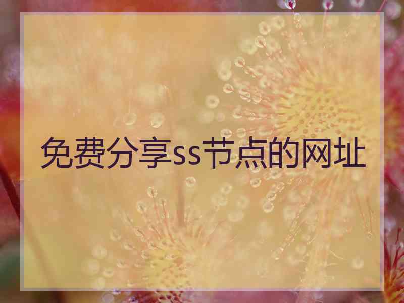 免费分享ss节点的网址