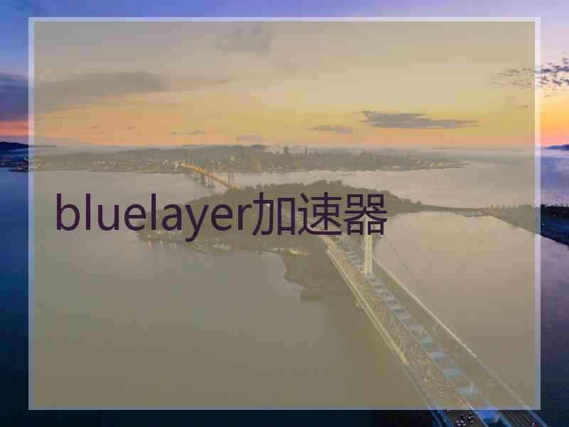 bluelayer加速器