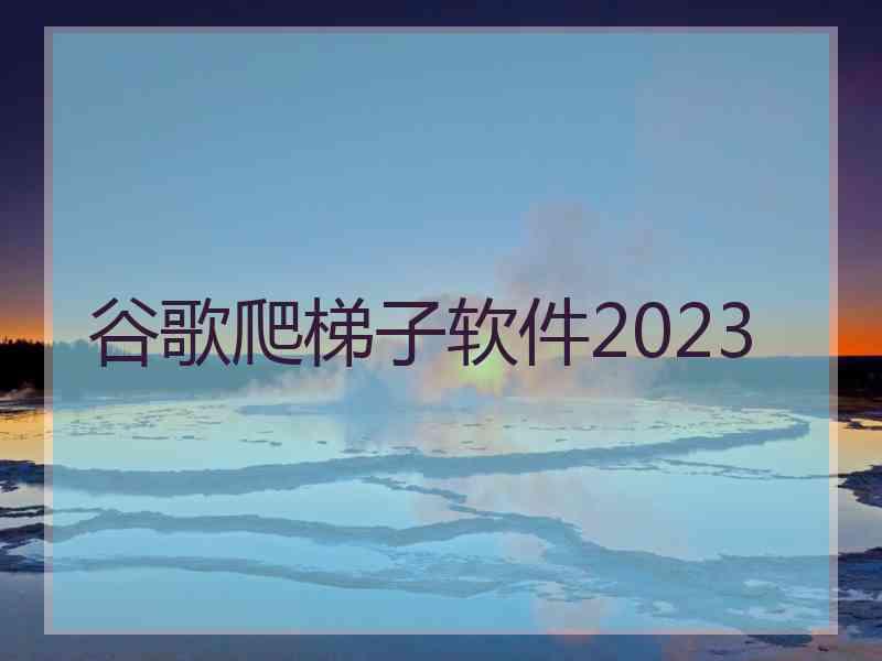 谷歌爬梯子软件2023