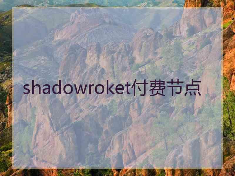 shadowroket付费节点