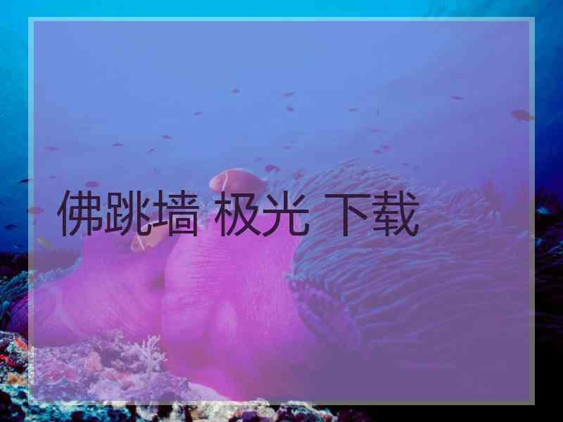 佛跳墙 极光 下载