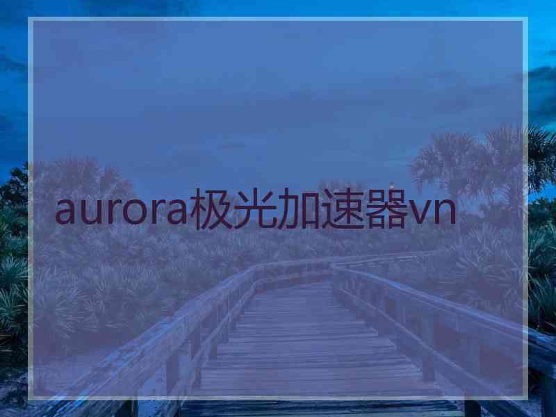 aurora极光加速器vn