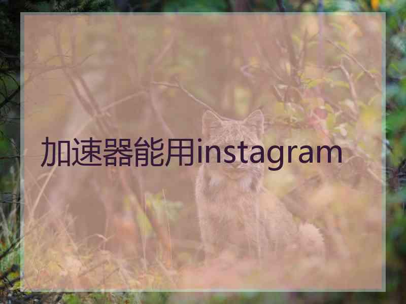 加速器能用instagram