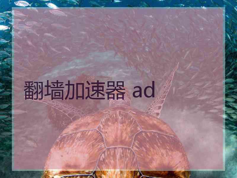 翻墙加速器 ad