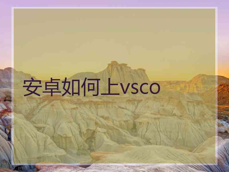 安卓如何上vsco