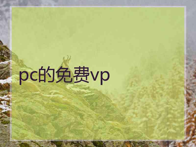 pc的免费vp