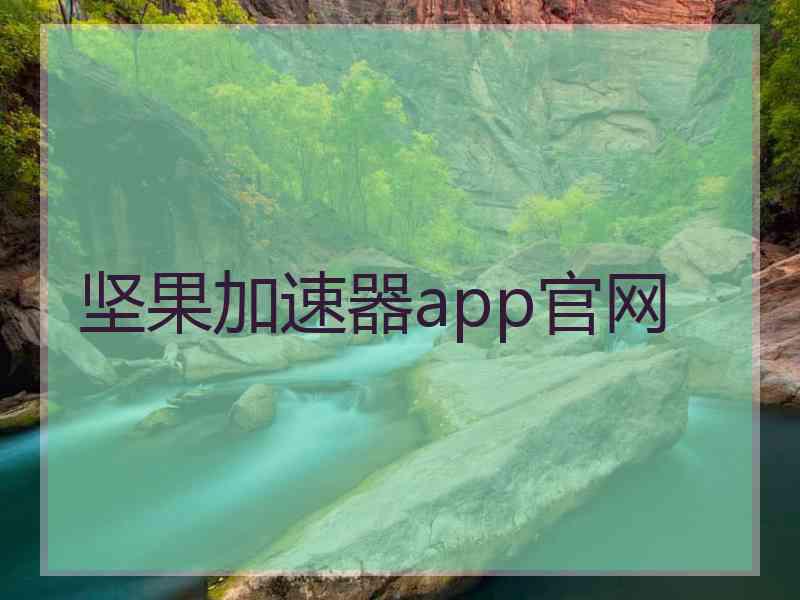 坚果加速器app官网