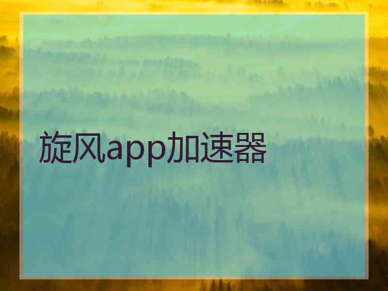 旋风app加速器