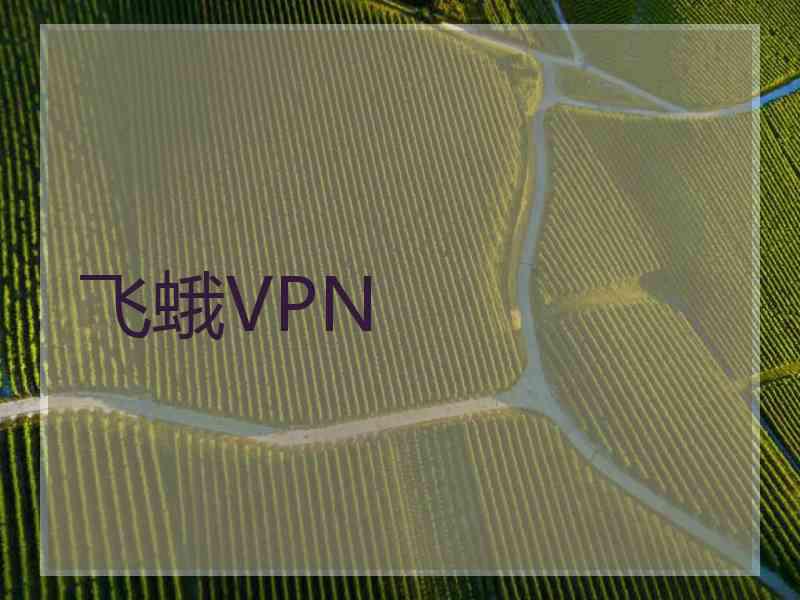 飞蛾VPN