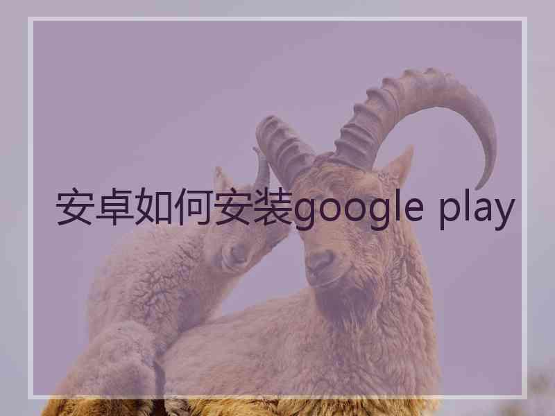 安卓如何安装google play