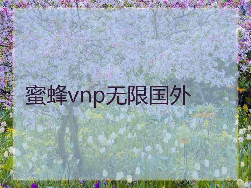 蜜蜂vnp无限国外