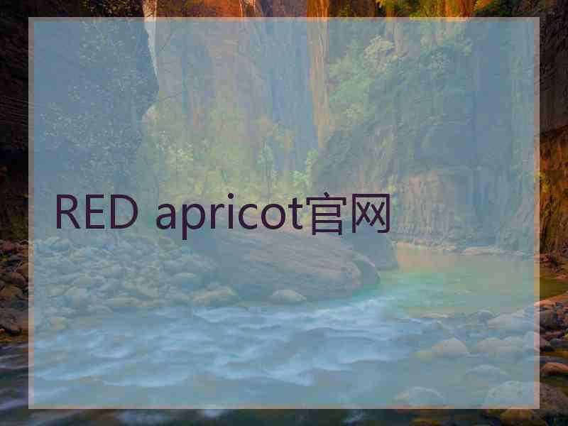 RED apricot官网