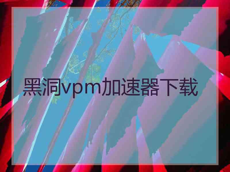 黑洞vpm加速器下载