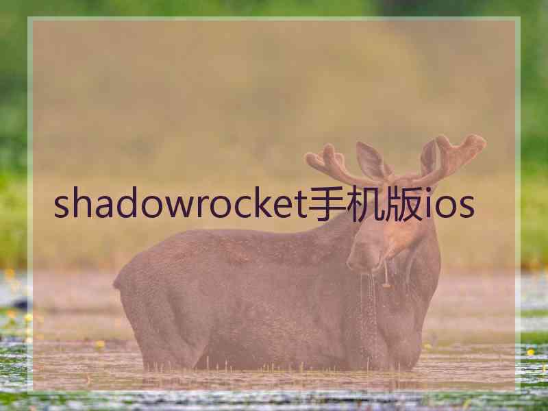 shadowrocket手机版ios