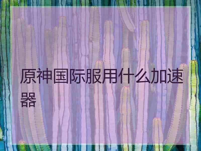 原神国际服用什么加速器