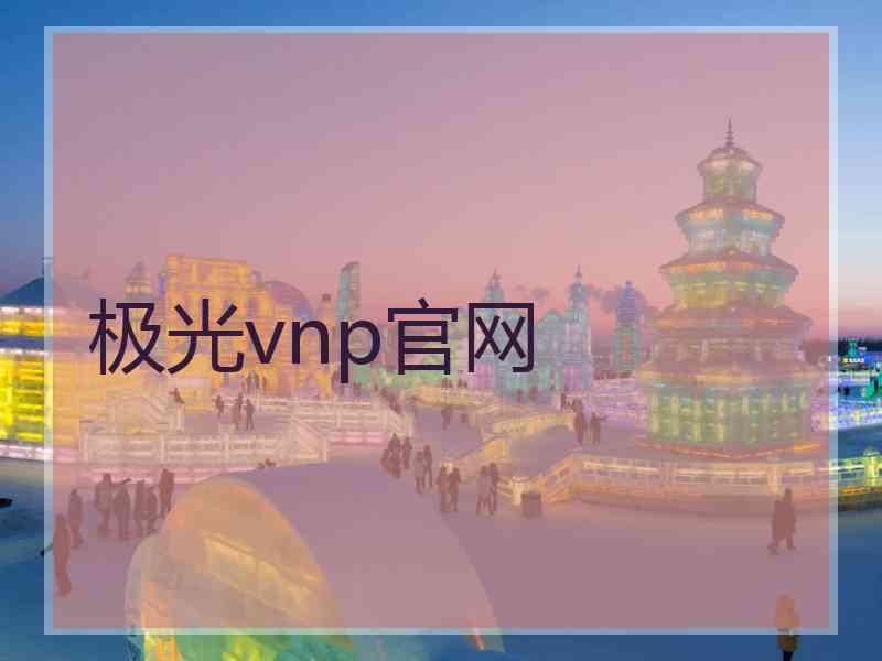 极光vnp官网