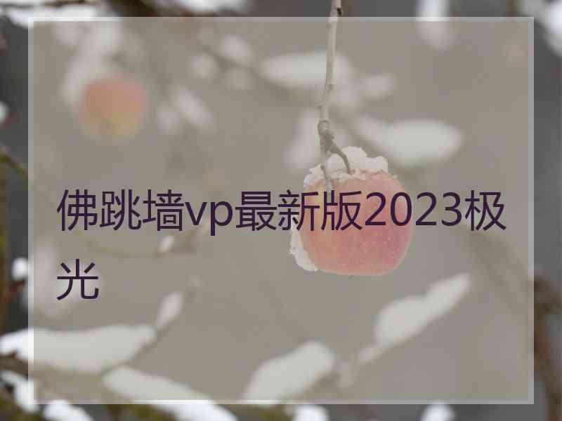 佛跳墙vp最新版2023极光