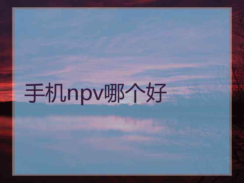 手机npv哪个好