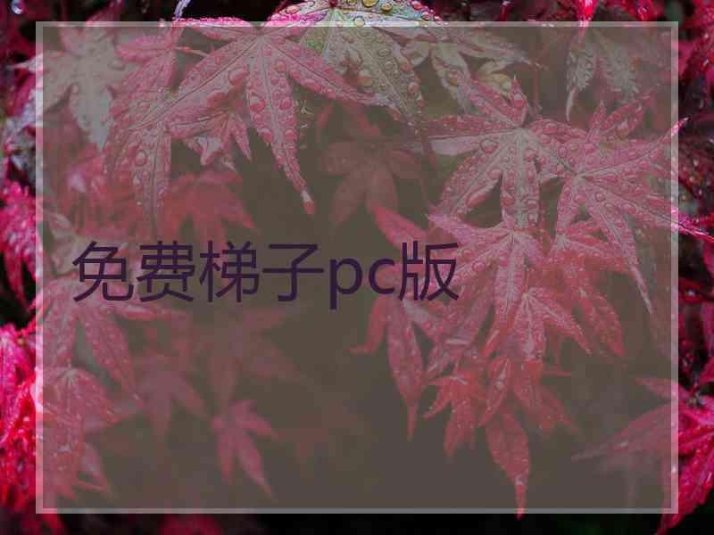 免费梯子pc版