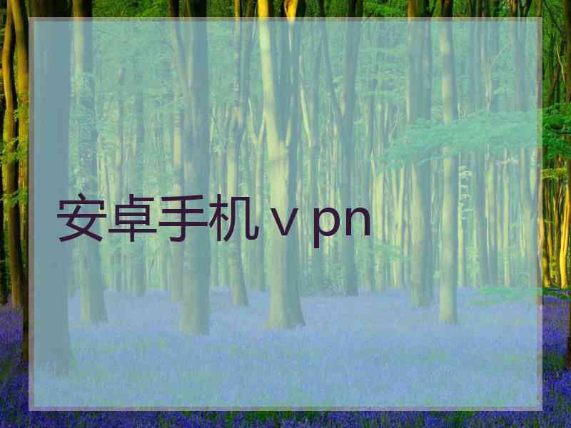 安卓手机ⅴpn