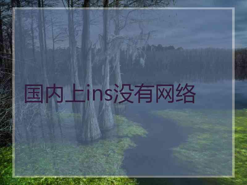 国内上ins没有网络