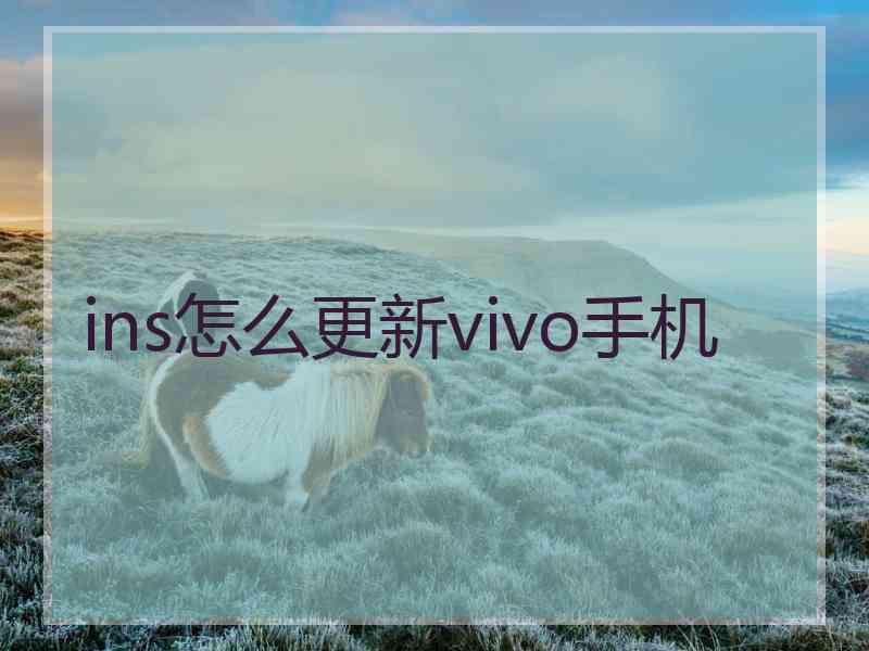 ins怎么更新vivo手机