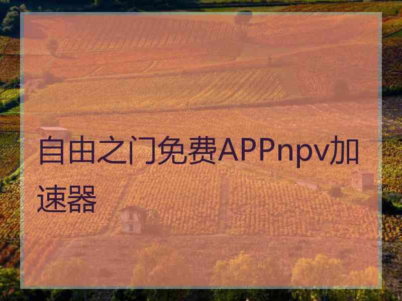 自由之门免费APPnpv加速器