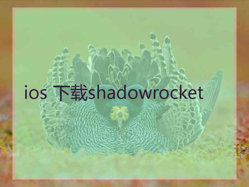 ios 下载shadowrocket