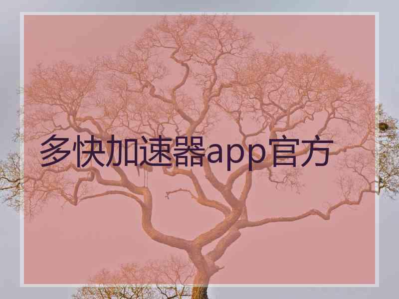 多快加速器app官方