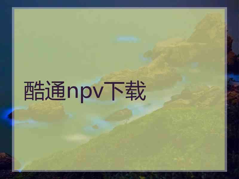 酷通npv下载