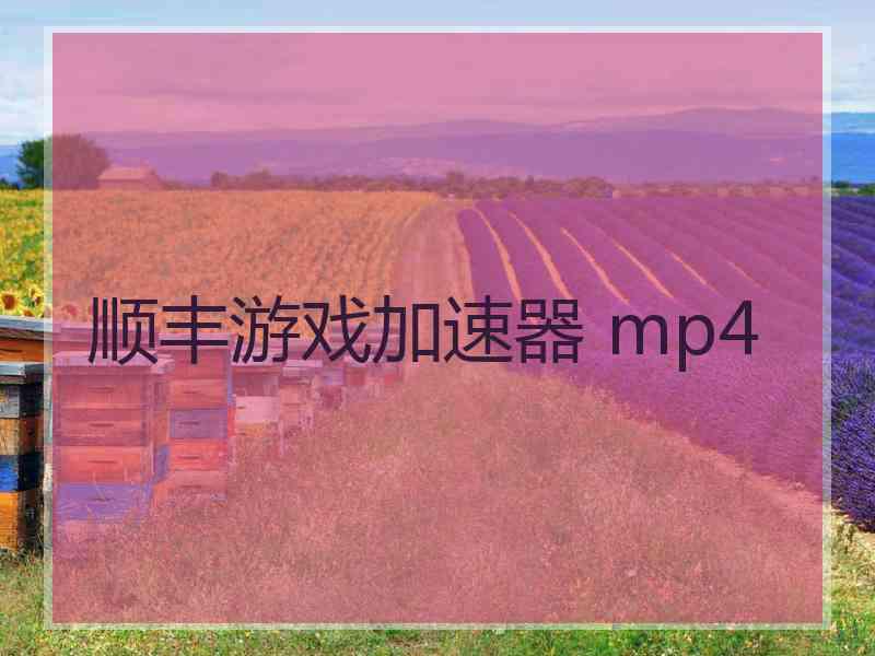 顺丰游戏加速器 mp4