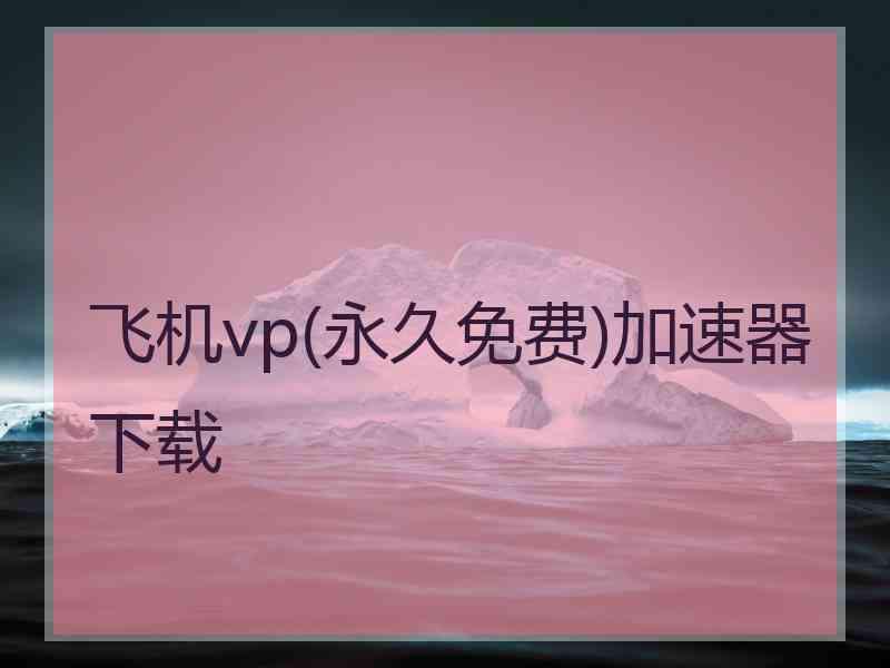 飞机vp(永久免费)加速器下载