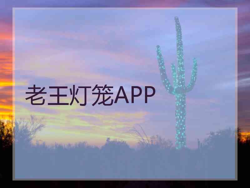 老王灯笼APP