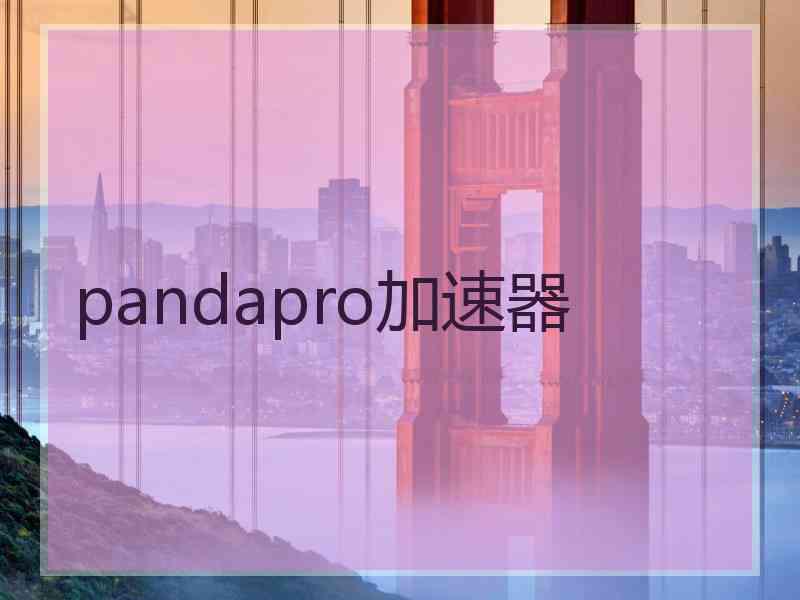 pandapro加速器