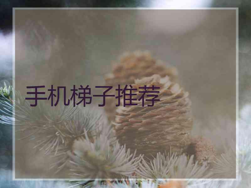 手机梯子推荐