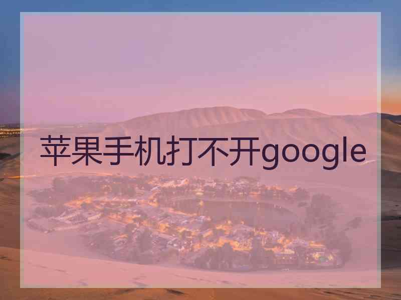 苹果手机打不开google