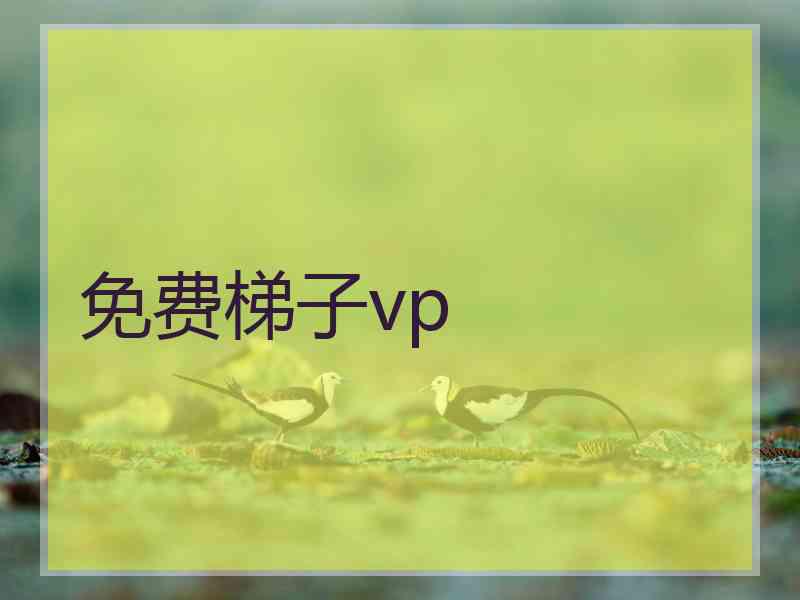 免费梯子vp