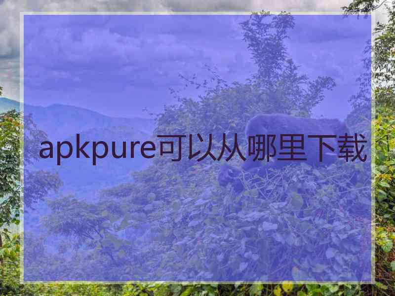 apkpure可以从哪里下载