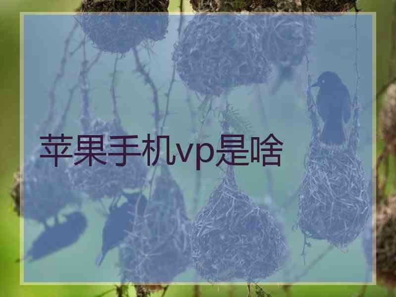 苹果手机vp是啥